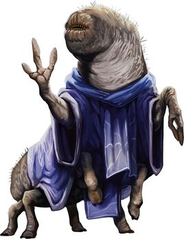 5e