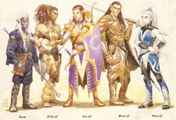 Various elves; from left to right; Drow, wild elf, sun elf, wood elf, and moon elf.
