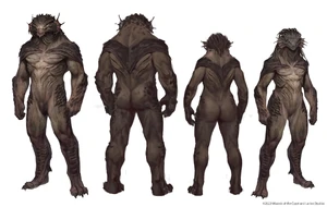 A male and female dragonborn bodies.