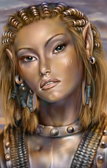 Jaheira | Forgotten Realms Wiki | Fandom
