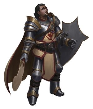 Paladin - Warriors & Weapons