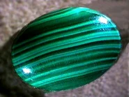 Malachite-cabochon.jpg (16 KB) Polished malachite cabochon. Photo by Sterling Passion, used by permission.