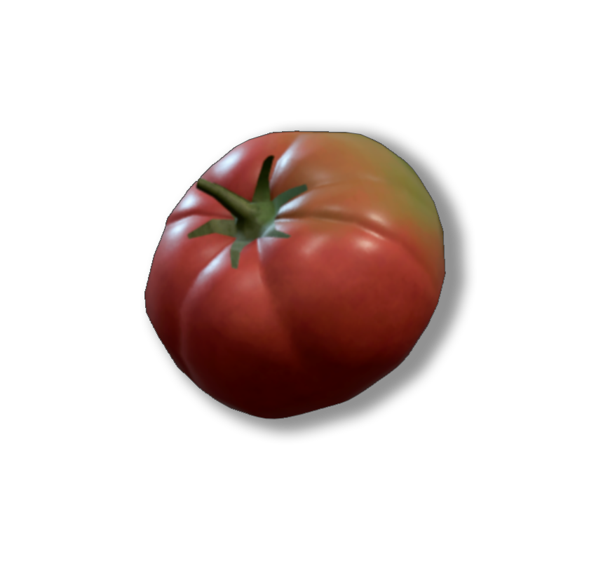 Beefsteak tomato - Wikipedia