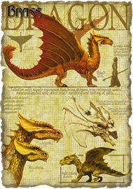 D&D Ancient Brass Dragon | Poster