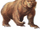 Brown bear 2e.png