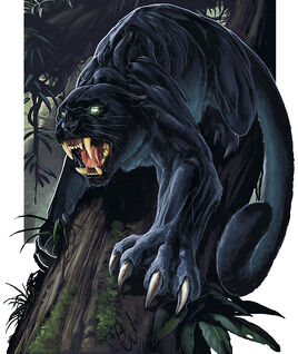 Fey panther 4e