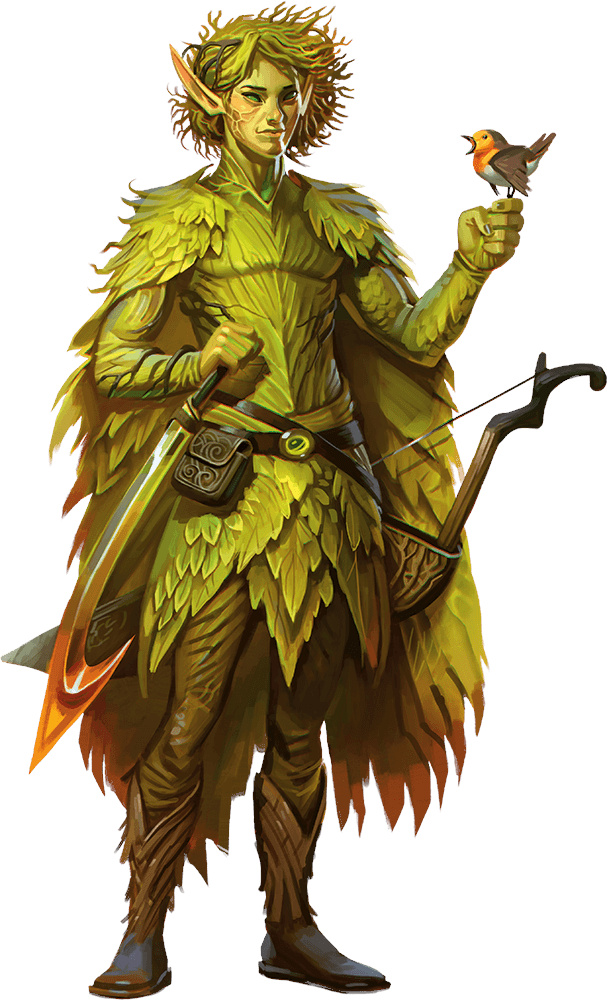 D&D - NMM - Winter/Spring Eladrin – DruidDice