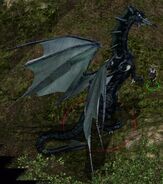 The black dragon Nizidramanii'yt who worked for Irenicus during his attack on Suldanessellar.