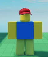 Ditto, but seen from the back.