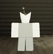 Glitched Token ingame seen from the back.