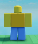 Ditto, but seen from the back.