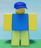 Ditto, but seen from the back.