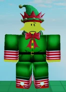 Elf Noob in-game, seen from the front.