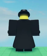 Ditto, from the back.