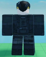 Ditto, seen from the back.