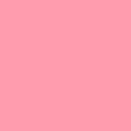 The color #FF9CAE
