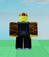 Ditto, but seen from the back.