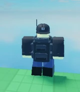 Ditto, but shown from the back.