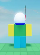 Ditto, viewed from the back.