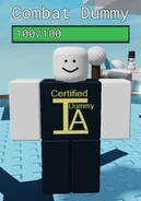 A Certified Combat Dummy.