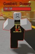 An Uncertified Combat Dummy.