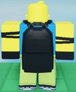 Ditto, seen from the back.