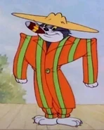 Tom's suit in "The Zoot Cat".