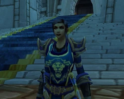 Celine in der Gegenwart auf ihrem gewohnten Posten in Sturmwind.