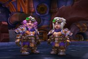 Gnomes Heritage Armor BLZ 2019-05-22