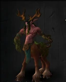 Bewahrer Remulos (Gleichgewicht) ab Stufe 110