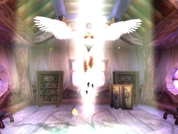 Aviana beim .
