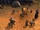 Brachland2-triumphfeste.jpg