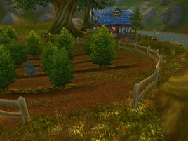 Obsthain am Spiegelsee