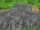 ExpeditionVashjirTag10 1.png
