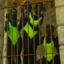 Femmes noires (1990)