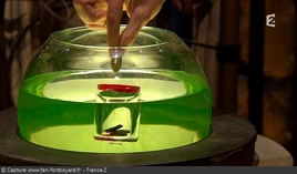 Fort-boyard-conseil-aquarium-v1-01