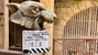 Meurtres à Fort Boyard