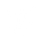 Feel the Force - Emote - Fortnite