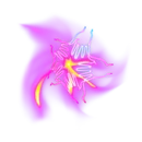 Hands of the Galaxy - Back Bling - Fortnite