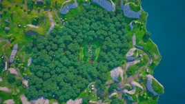 Top View