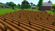 (Before Update v6.00)