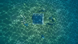 Top View