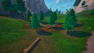 Small Forest