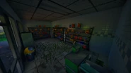 Interior (Near Lucky Landing)