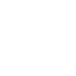 Icon Survivor