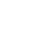 Icon Survivor