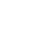 Icon Survivor