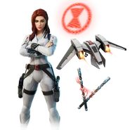 Icon (Before v31.10)