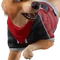 Bonesy (Sweater - Athletic Ace) - Sidekick - Fortnite