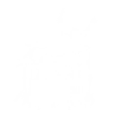 Roll Up - Emote - Fortnite